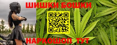 гашик Жуковский
