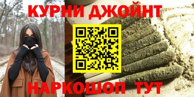 гашик Жуковский
