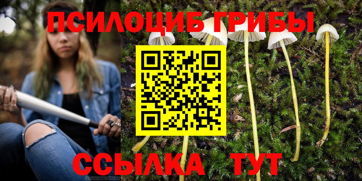 Псилоцибиновые грибы мухоморы Шахты