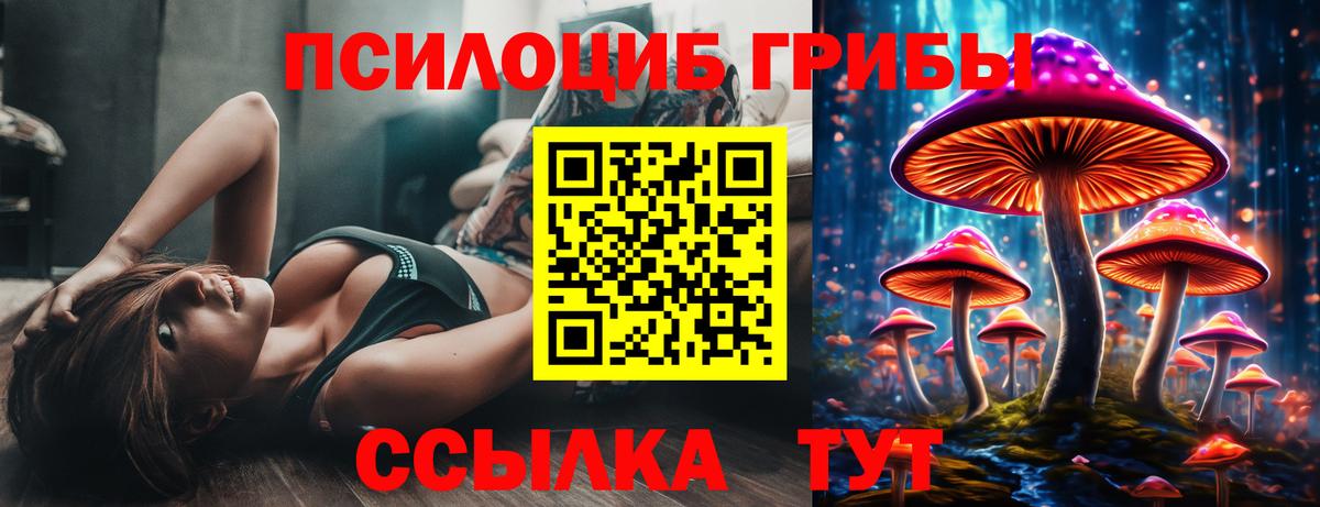 Псилоцибиновые грибы мицелий  Галлюциногенные грибы Psilocybine cubensis  Вход с VPN  Шахты 