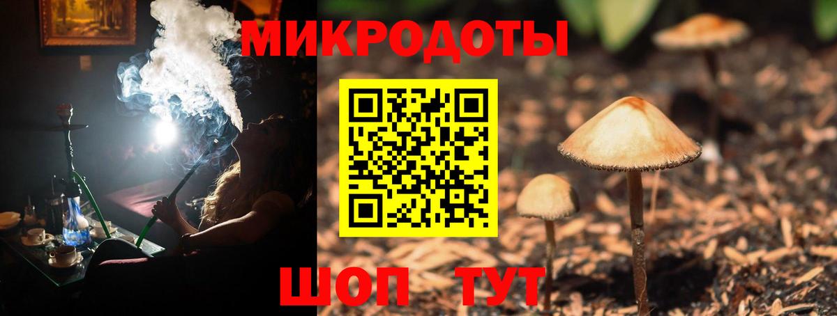 Псилоцибиновые грибы Cubensis  Галлюциногенные грибы Psilocybe  купить наркоту  Шахты 